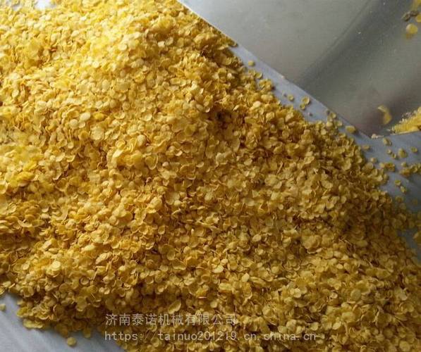 SCTN70B膨化玉米片设备 早餐谷物玉米片加工的全套解决方案